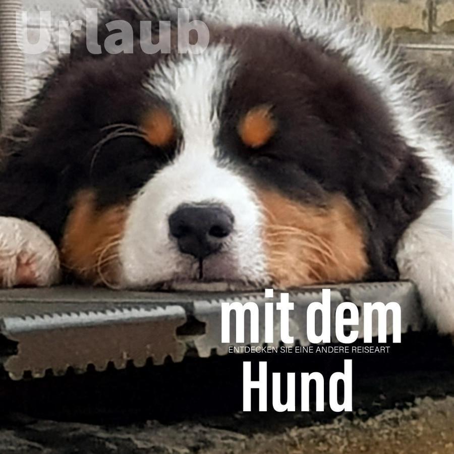 Der Seehof 하임바흐 외부 사진
